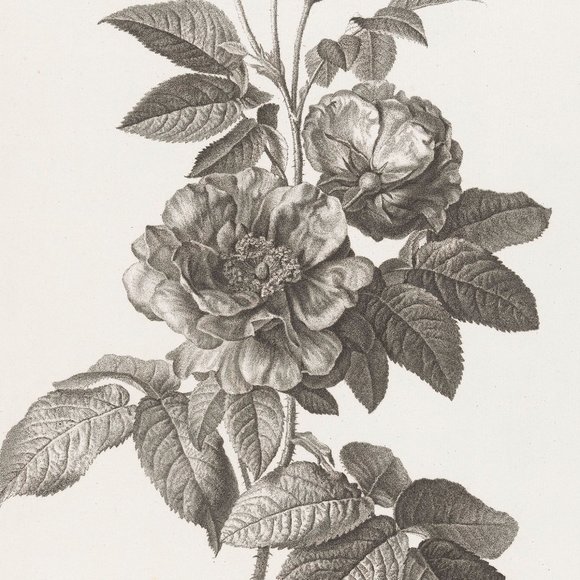 I like to call myself a truffle pig of second hand fashion. - Picture 1 of 1